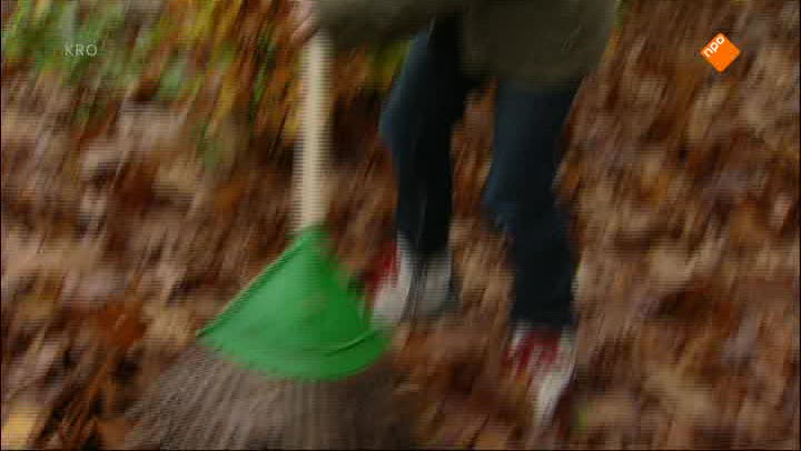 Kindertijd