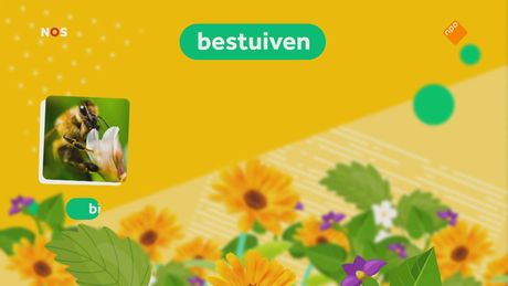 Het NOS Jeugdjournaal | NOS Jeugdjournaal