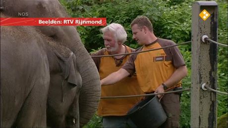 Het NOS Jeugdjournaal | NOS Jeugdjournaal