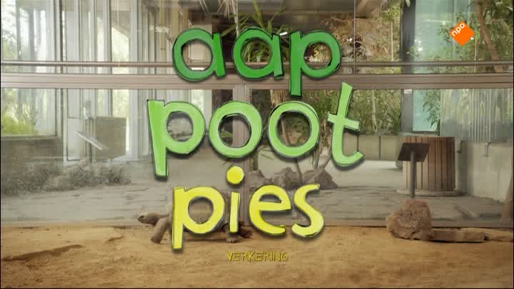 Aap Poot Pies
