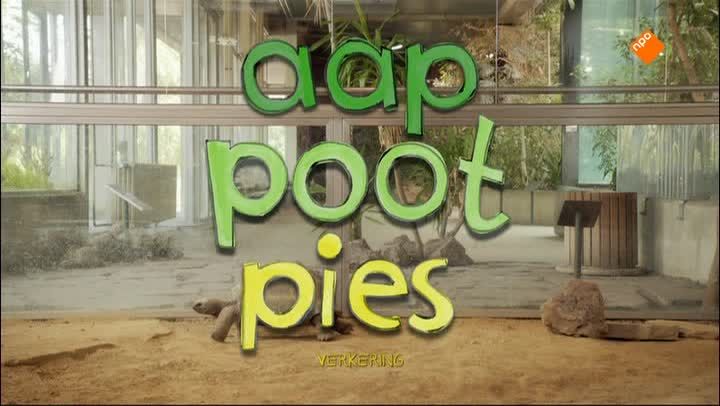 Aap Poot Pies