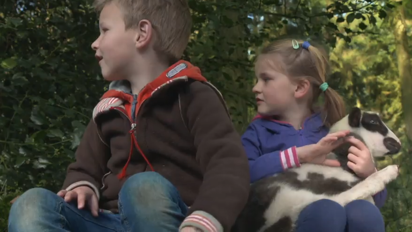 Puck en het verdwenen schaap