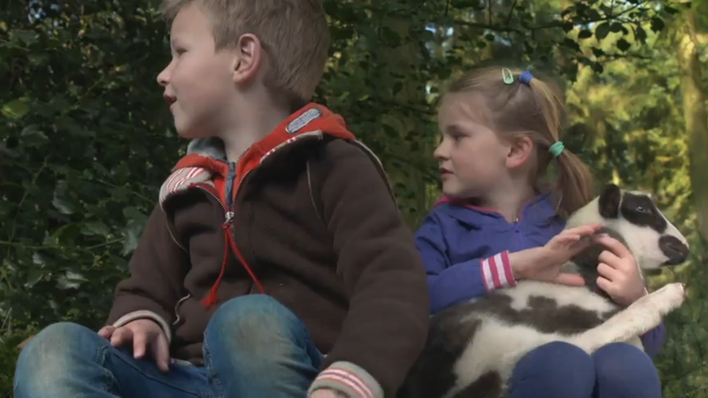 Puck en het verdwenen schaap