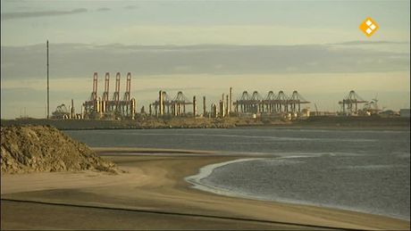 Het Klokhuis | Nieuwe haven