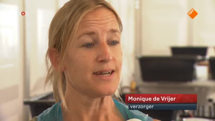 Het NOS Jeugdjournaal | NOS Jeugdjournaal