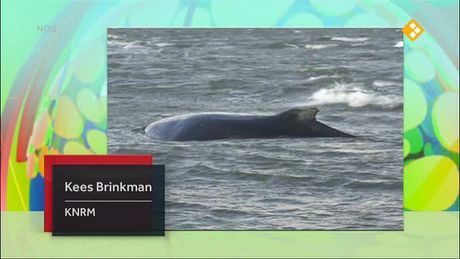Het NOS Jeugdjournaal | NOS Jeugdjournaal