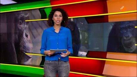 Het NOS Jeugdjournaal | NOS Jeugdjournaal