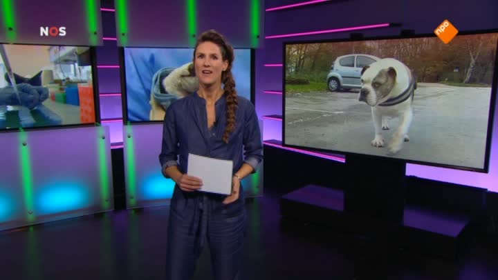 Het NOS Jeugdjournaal | NOS Jeugdjournaal