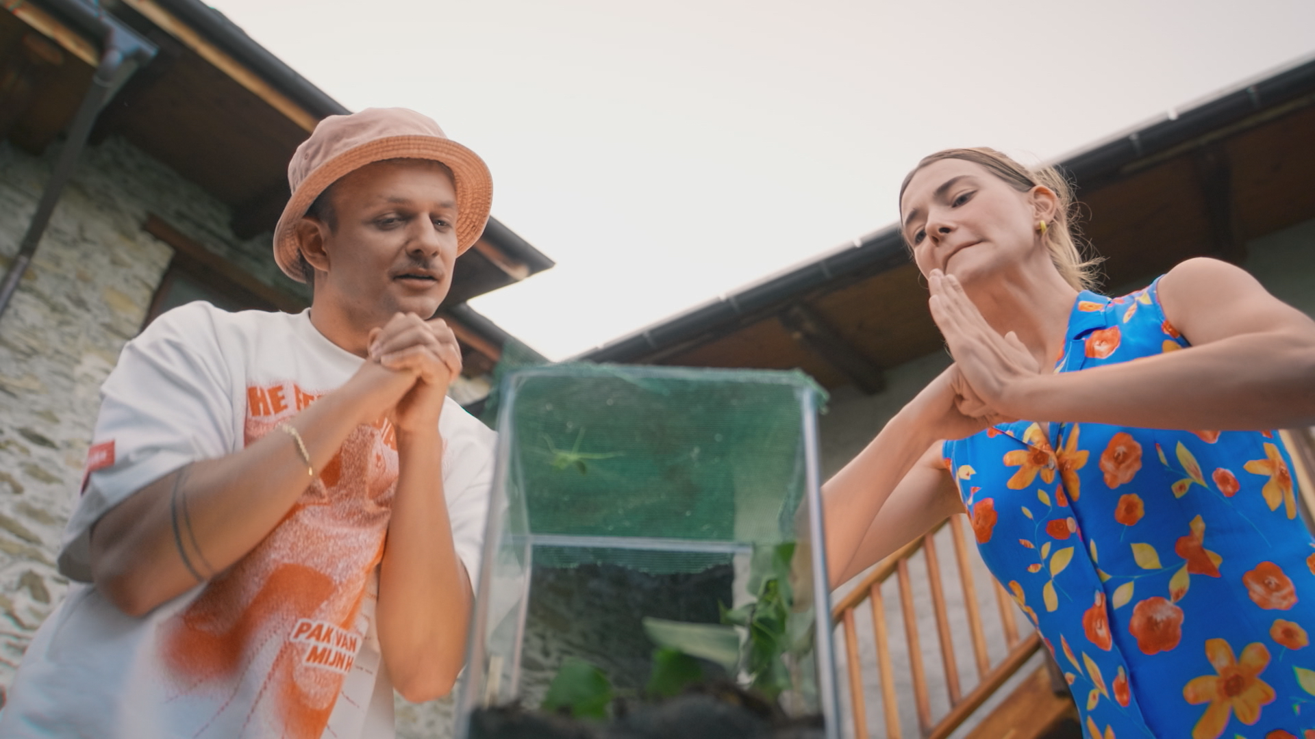 Steken en Prikken | De Bidsprinkhaan