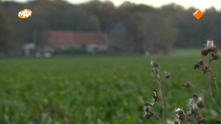 Limburg