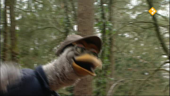 Koekeloere
