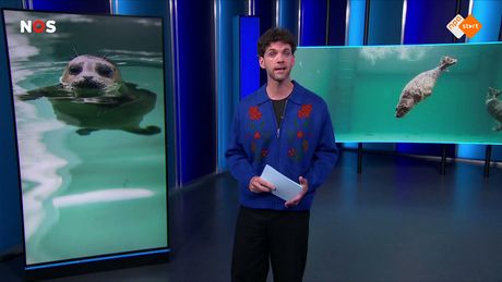 Het NOS Jeugdjournaal | NOS Jeugdjournaal
