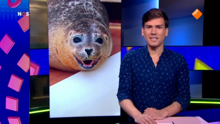 Het NOS Jeugdjournaal | NOS Jeugdjournaal