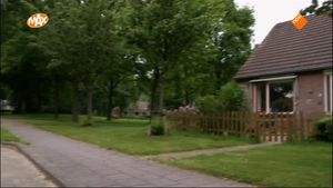 Dierenbescherming