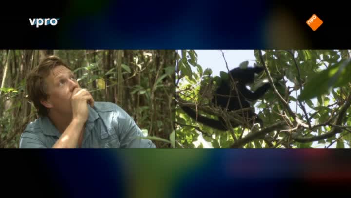 Freeks Wilde Wereld | Belize - Bommetje!