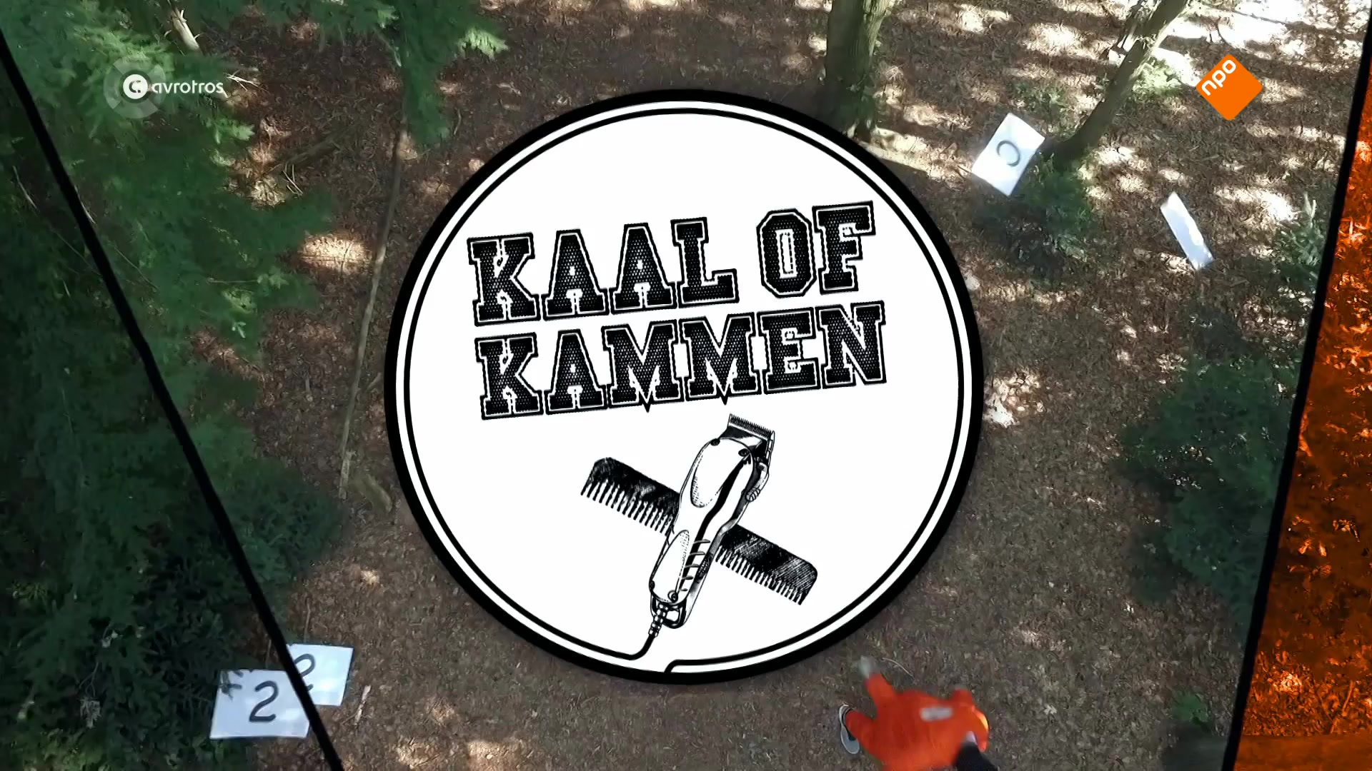 Kaal of Kammen