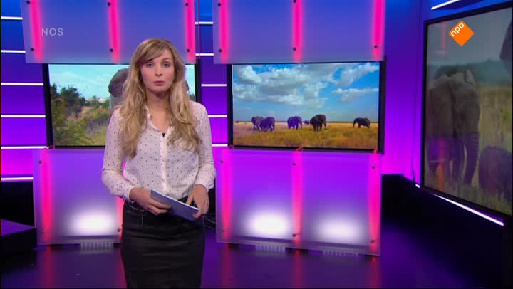 Het NOS Jeugdjournaal | NOS Jeugdjournaal