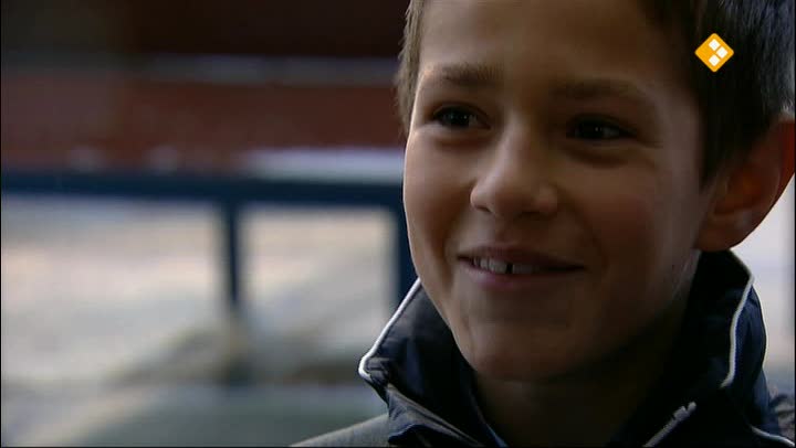 Heibel langs de Lijn | Heibel langs de lijn