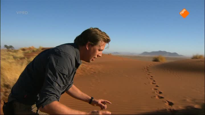Freeks Wilde Wereld | Sossusvlei