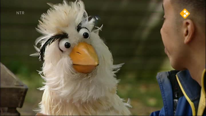 Huisje Boompje Beestje