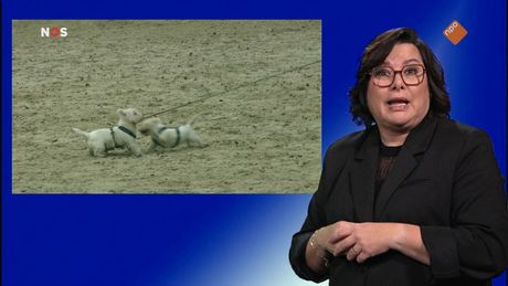 NOS Jeugdjournaal met gebarentaal