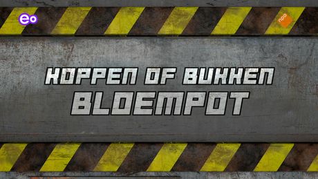 Checkpoint | Compilatie