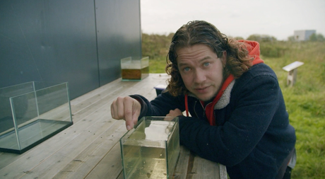 Het Klokhuis | Muggen
