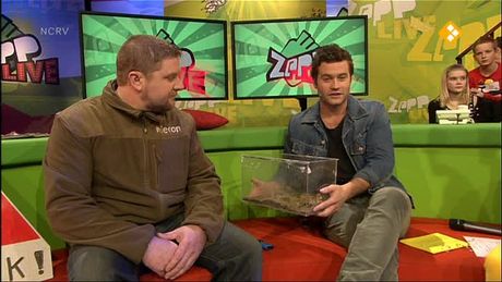 Zapplive | Z@pplive