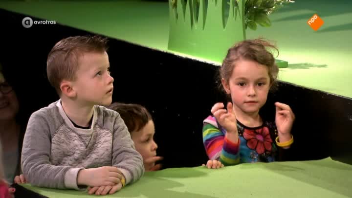 De Wereld van Zappelin