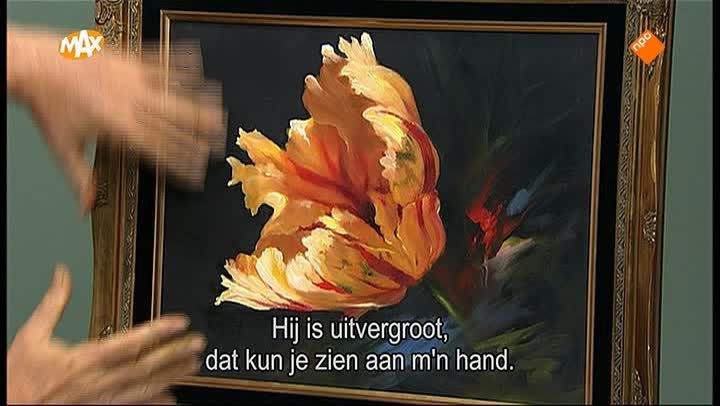 Rembrandt Tulp