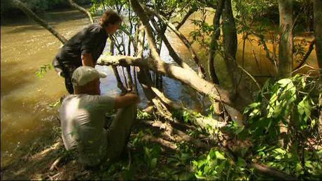 Freek in het wild | Anjumara