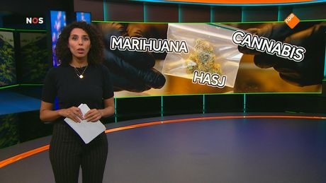 Het NOS Jeugdjournaal | NOS Jeugdjournaal