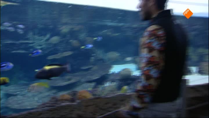 Het Klokhuis | Zeequarium
