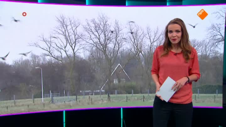 Het NOS Jeugdjournaal | NOS Jeugdjournaal