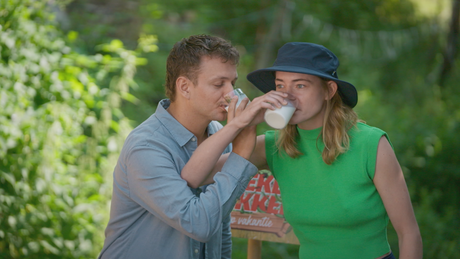 Steken en Prikken | De vuursalamander