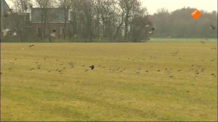 Het NOS Jeugdjournaal | NOS Jeugdjournaal