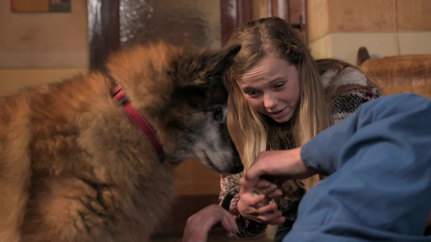 Puppy Patrol | Familie