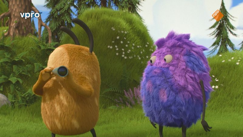 Kiwi & Strit