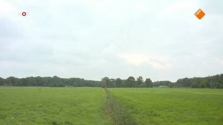 Het NOS Jeugdjournaal | NOS Jeugdjournaal