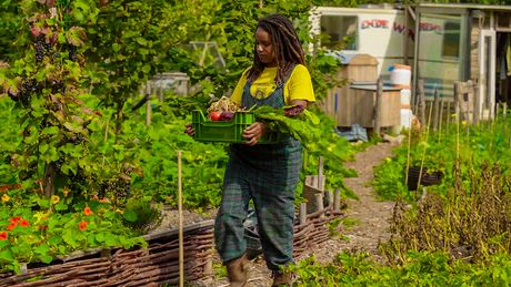 Het Klokhuis | Moestuin