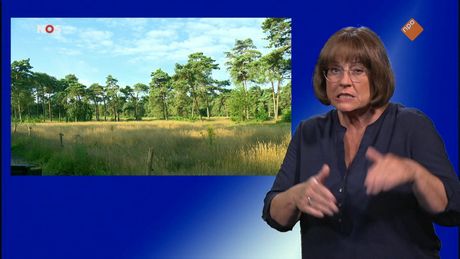 NOS Jeugdjournaal met gebarentaal