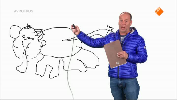 Zappsport | Compilatie
