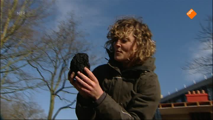 Het Klokhuis | Schoorsteenveger