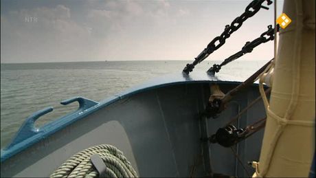 Het Klokhuis | Oesters