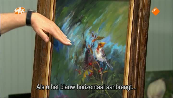 Ochtend kardinaaltjes