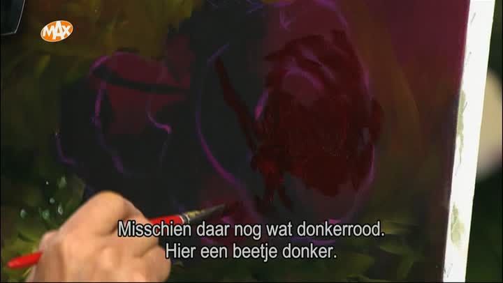 Roze perfectie