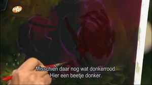 Roze perfectie