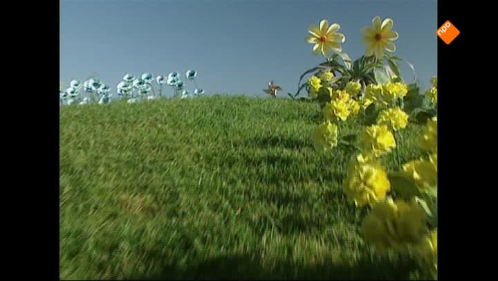 Teletubbies