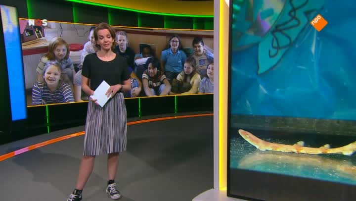 Het NOS Jeugdjournaal | NOS Jeugdjournaal