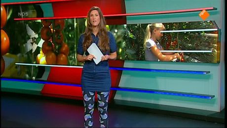 Het NOS Jeugdjournaal | NOS Jeugdjournaal